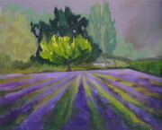 Happy Valley Lavender Farm copy