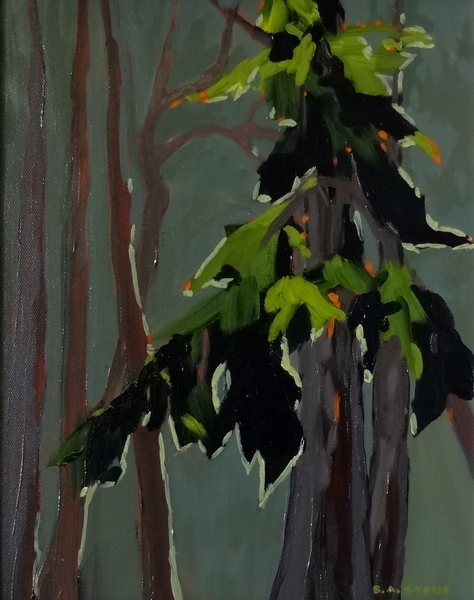 In Beacon Hill Park III