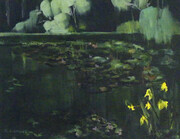Lily Pond- Saanich Artifacts Museum